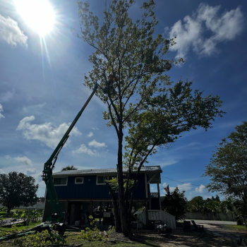 Screenshot 2025-10-28 at 2.33.47 PM