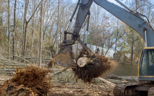 stump-removal-new-picture